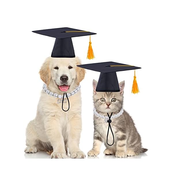 Sumersha 2pcs pet graduation caps small dogs black graduation hats with yellow tassel pet graduation costume for puppy dogs cats party outfits accessories - image 7