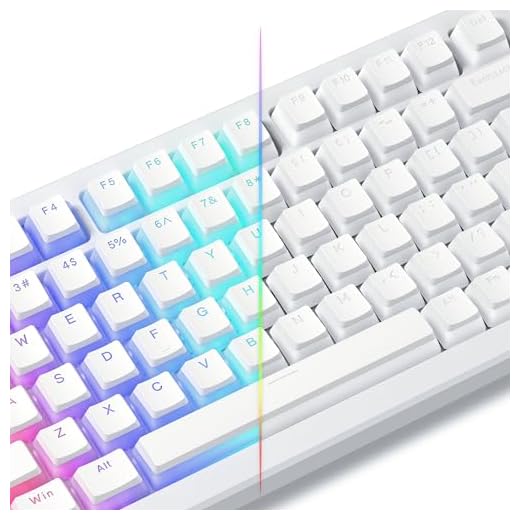 Womier Shine Through PBT Keycaps, Pudding White Keyboard Keycaps