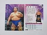 BBM2019 大相撲■レギュラーカード■27/琴奨菊 和弘/前頭