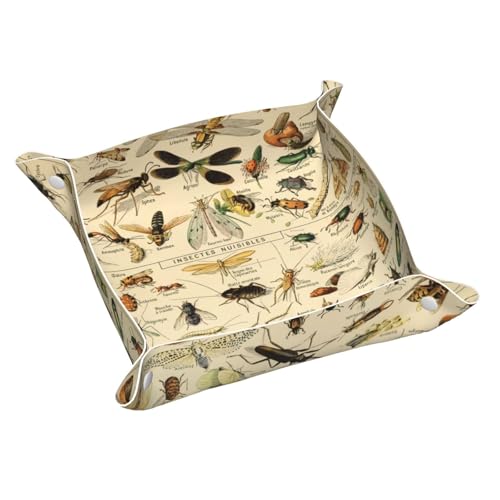 L[fBbV  CXg  L[fBXN WG[gC g[ OgC [P[X PuU[  ֗ y lC [ 킢 ܂肽 K  u G