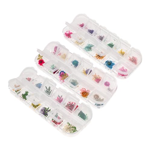 Flores naturales secas para manualidades DIY, set 3 cajas miniatura 1