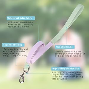   Waterproof-Dog-Leash-Durable-PVC-Rope-Dog-Lead-Leash-for-LargeMediumSmall-Dogs-Slip-Lead-Dog-Leash-for-Walking-Running-Purple-and-Green