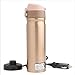 12V 400ml Coche de viaje Auto de acero inoxidable Calefacción termosfera eléctrica Botella Café Taza de té Mi botella de agua hirviendo frascos de vacío Cafetera de acero