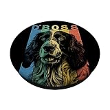 Zoom IMG-1 the funny english springer spaniel Zoom IMG-1 the funny english springer spaniel