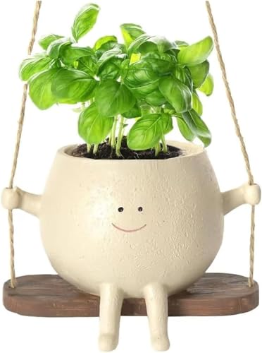 best hanging planters
