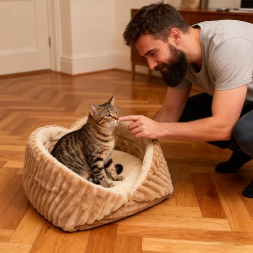 Panier d'hiver pour chat en peluche semi-fermé pour chambre