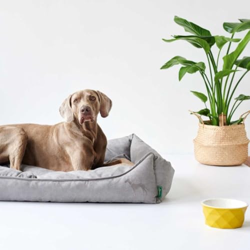 HUNTER EIBY Hundesofa, schmutzabweisend, Easy CLEAN-Technologie, pflegeleicht, S, grau