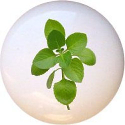 Food Veggies Fruit Herbs Spices Kitchen DECORATIVE Ceramic Dresser Drawer PULLS Cabinet Cupboard KNOBS (9)