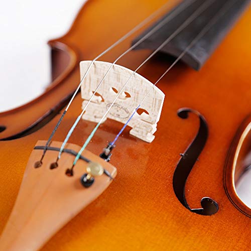 Massief houten handgemaakte viool beginner studenten mat populariteit Jujube haringen configuratie PCTONC (Color : Brown…