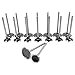 Flynsu Intake & Exhaust Engine Valves Kit Replacement for 2009-2015 Chrysler Jeep Grand Cherokee Dodge Ram 5.7L HEMI 53022087AA 53022088AB