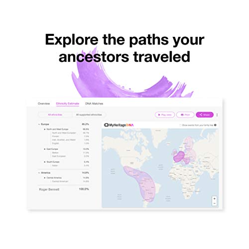 Kit per il test del DNA di MyHeritage: Test Genetici per L'Ascendenza e L'Etnia che coprono più di 2,114 regioni… - immagine 7