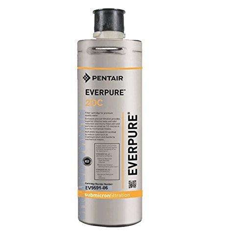 Everpure 2DC ev9591  06
