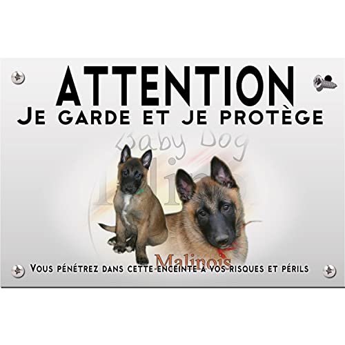 Garanzia 5 anni all'aperto Pets-easy Attenzione al cane cuccioli malinois