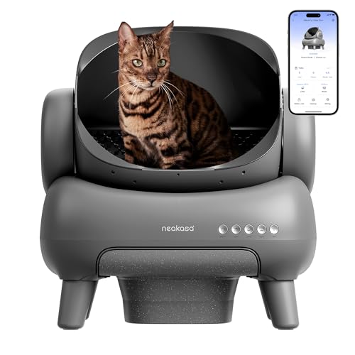 Find The Best Automatic Kitty Litter Box Reviews & Comparison Katynel