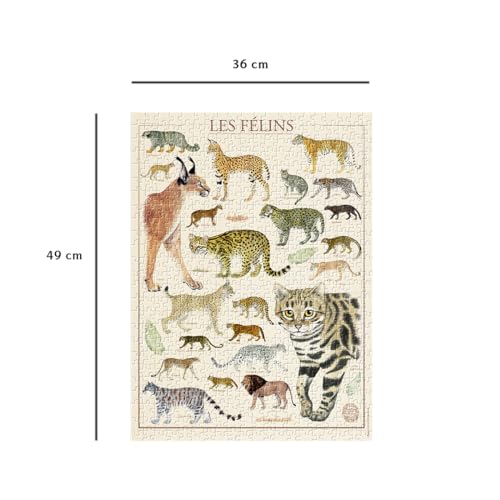 Puzzle 500 pièces : Muséum national d'Histoire naturelle : Les félins Ravensburger Nathan - vue 7