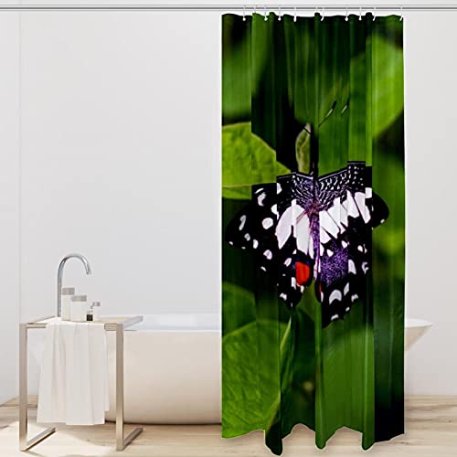 Rideau de douche de qualité supérieure papillon vert 168 x 183