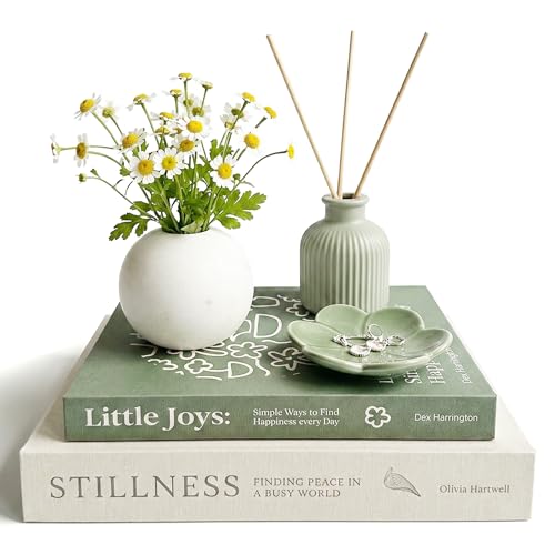 MESMOS Set of 2 Faux Decorative Books for Shelves, Living Room & Home Decors, Faux Books for Decoration, Decorative Coffee Table Book Decor, Book Decor Aesthetic, Coffee Table Box - Mindfulness Series