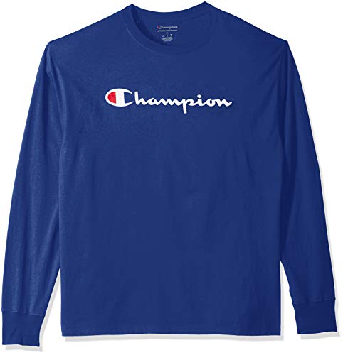 Champion Men's Classic Graphic Long Sleeve TEE, Surf The Web, Medium