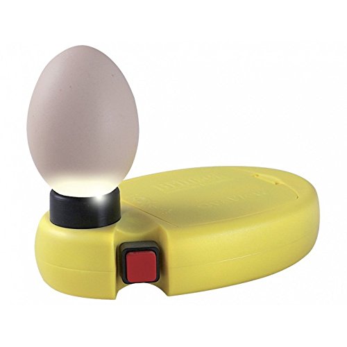BRINSEA Mire-oeuf Brinsea Ovaview LED à piles