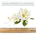 Global Sugar Art Cymbidium Orchid Sugar Cake Flowers Spray, White, 1 Count by Chef Alan Tetreault