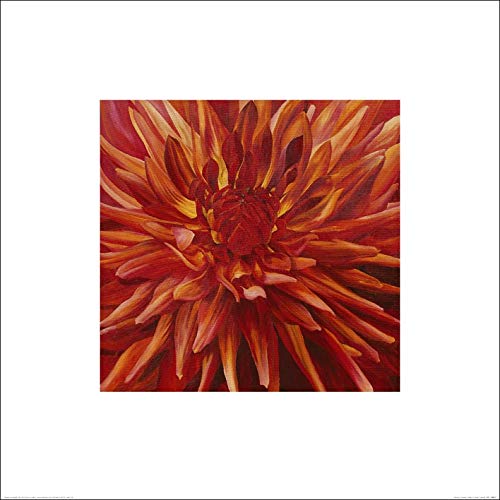 The Art Group "Sarah Caswell Fabulous Orange Dahlia Paper Art Print, Multi-Colour, 60 x 60 x 1.3 cm