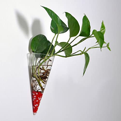 Healeved 1Pc Wall Hanging Planter Glass Circular Cone Vase Clear Glass Vase Propagation Station For Plant Flower Home Decor #TOP5