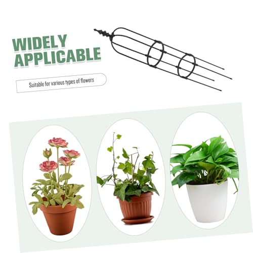 Pergola Support Plante grimpante et Treillis de Jardin en Acier Inoxydable - 8