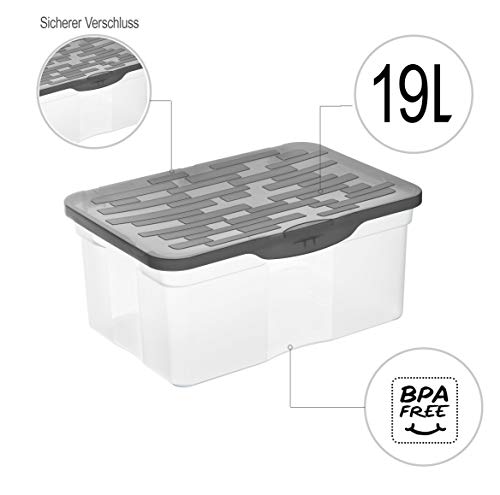 Rotho Ranger Aufbewahrungsbox 13l mit Deckel, Kunststoff (PP) BPA-frei, anthrazit, A4/13l (39.0 x 27.0 x 17.5 cm)