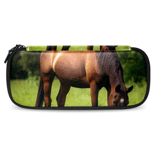 Astuccio per matite astuccio estetico cavallo sullerba per marrone