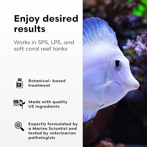 Image of Brightwell Aquatics Koral Recover - Botanical Coral Remedy for SPS, LPS & Soft Corals - Supports Tissue Healing, Disease Recovery & Immune Health - Safe for Reef Aquariums, 125 ml