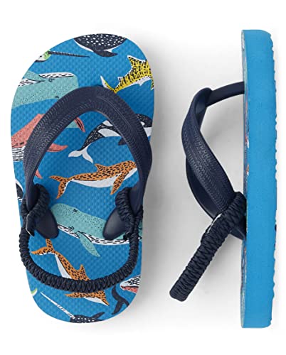 The Children's Place Toddler Boys Flip Flops With Backstrap, Shark Multi, 10-11 #TOP2