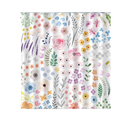 I[VV[J[e 1 킢 ʉ Jt  NW oX[ J[e(8)