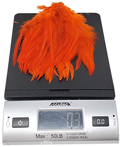 Creative Angler Saddle Hackle for Fly Tying/Tying Flies (Orange)