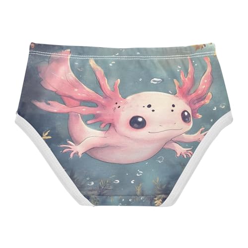 Cute Axolotl Undersea Toddler Girls's Underwear 2T 202b88852