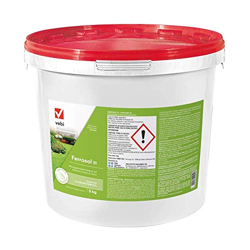Ferrosol 31 - Concime microgranulare ad altissimo titolo di Ferro. 5KG