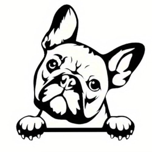 XebJ[ o t`uhbO ԗp V[ 12cm  Ck  rj[ h  \t p m[gp\R t8819