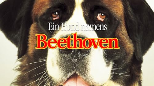 Ein Hund namens Beethoven [dt./OV]
