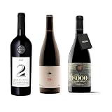 vino tinto 1848 2nd Generation Syrah, 3 Viñerones Sedal y 8000 Marqués de Burgos pack de tres botellas 75 cl