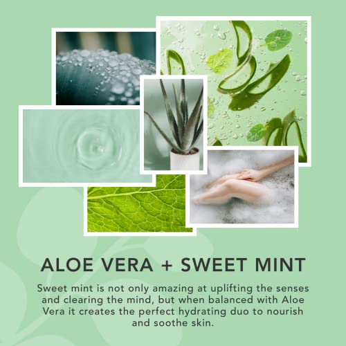 Sunday Rain Aloe Vera & Sweet Mint Soy Candle, with Aromatherapy Oils, Up to 40 Hours Burn Time, Refreshing & Calming Fragrance, 265g - Image 3