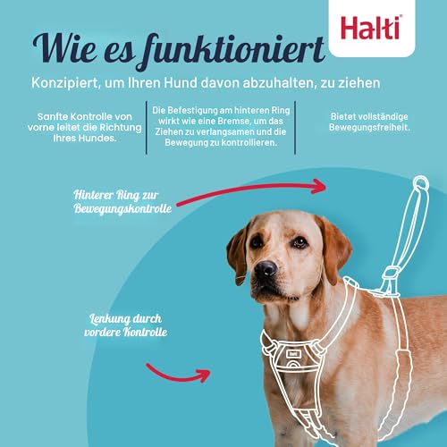 Halti No Pull Geschirr und Trainingsleine Kombipack, stoppt Hund beim Ziehen auf Spaziergängen, inklusive großem No Pull Geschirr und doppelseitiger Leine, schwarz (14329W)