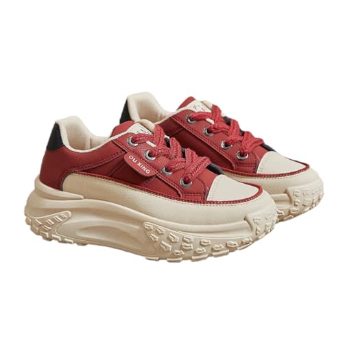 [HLPLLXY] {vXj[J[ fB[X r gAbv _bhXj[J[ y  JWAV[Y Ȃ ₷ [XAbv lC ʋ ʊw AEghA(Cbh,24.0 cm)