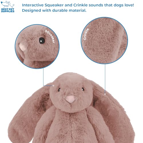 Best-Pet-Supplies-Interactive-Bunny-Buddy-Dog-Toy-with-Crinkle-and-Squeaky-Enrichment-for-Small-and-Medium-Breed-Puppies-or-Dogs-Cute-and-Plush-Bunny-Mauve
