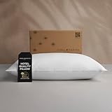 Sobel Westex Sahara Nights | Stomach & Back Sleeper Pillow for Adults | 233TC, 100% Cotton Case, Gel Fiber Fill | Soft, Machine Washable Hotel Quality Pillow for Sleeping (Standard Medium)