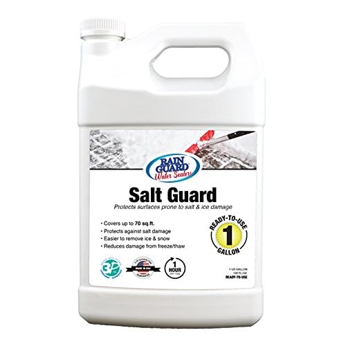 Rain Guard Water Sealers SP-1006 Salt Guard 1...