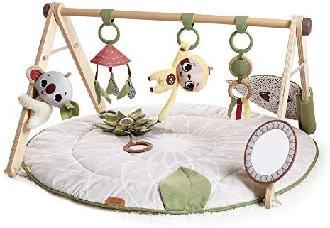Tiny Love Boho Chic Gymini with Mirror and Detachable Toys, Developmental Gym and Playmat for Babies, Newborns, and Infants