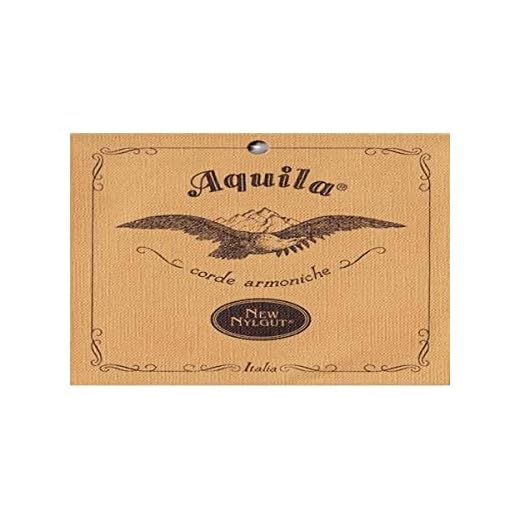 Nylgut Jugando al Ronroco, bb ee bb' gg dd