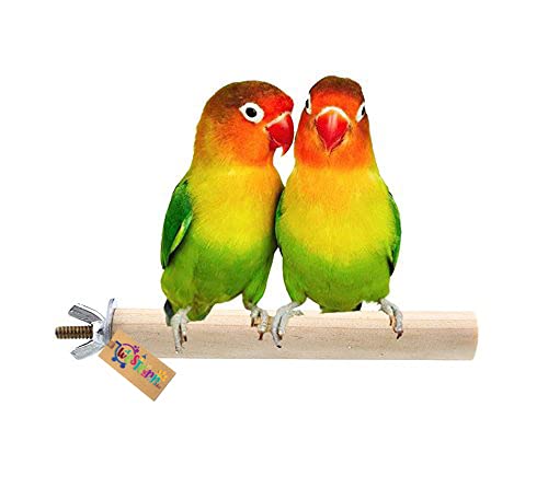 Western Era Perch/Stand Bird Toy for Small & Medium Birds (6 Inches) (B081RH4PG7) Amazon Price History, Amazon Price Tracker