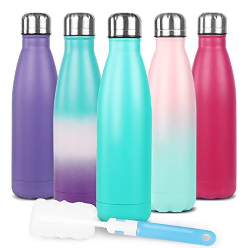 Top 10 Best Non Plastic Water Bottle Reviews & Buying Guide Katynel