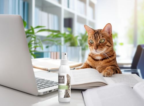 Iaiaoh Gatto Assorbiodori Patchouly E Alghe 125 Ml - 6