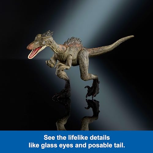 Image of Mattel Jurassic World Hammond Collection Dinosaur Action Figure Toy Troodon Species, Premium Movie Design Glass Eyes & 14 Points Articulation